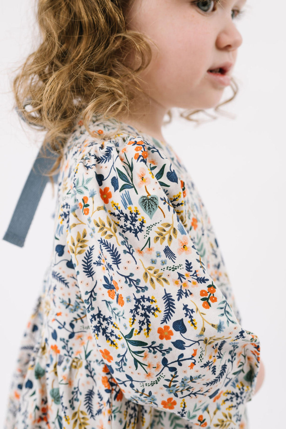 Birthday Dress, Fall Fields