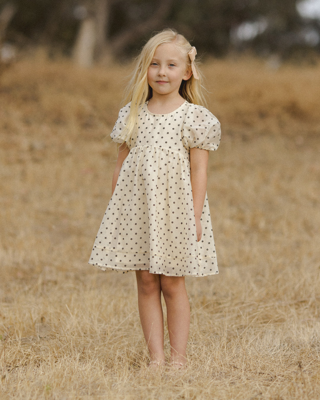 Luna Dress, Flocked Daisy