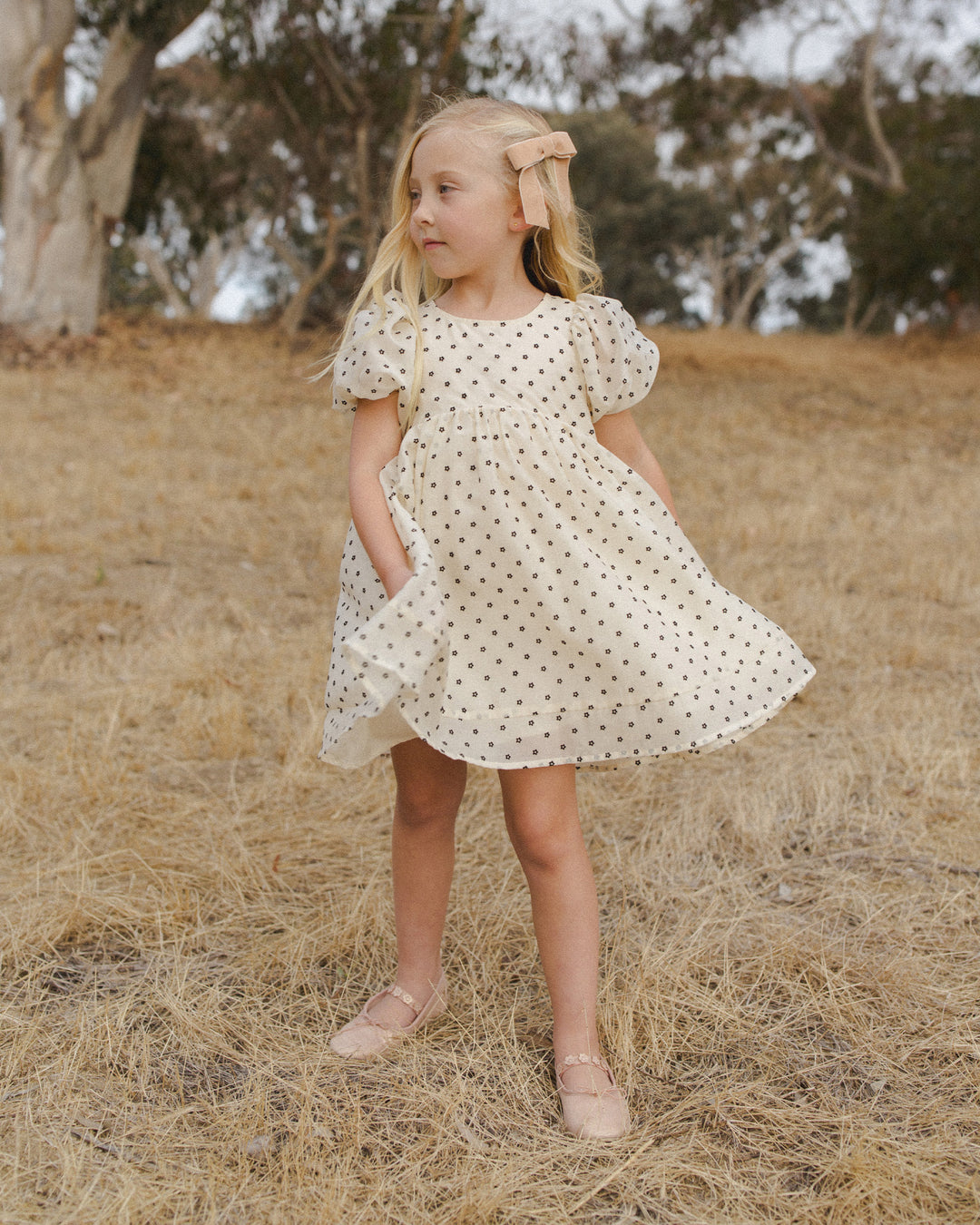 Luna Dress, Flocked Daisy