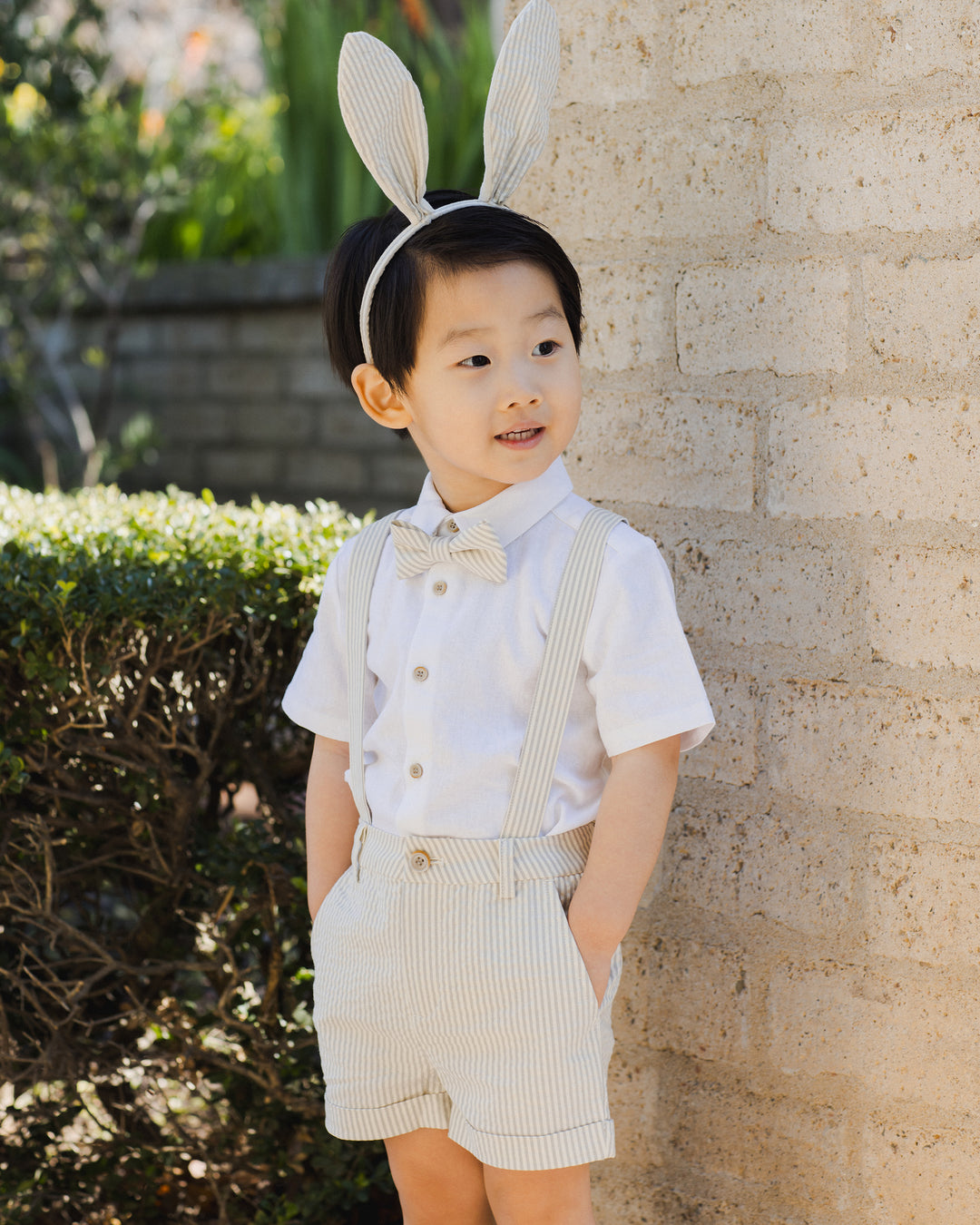 Bow Tie, Sage Stripe