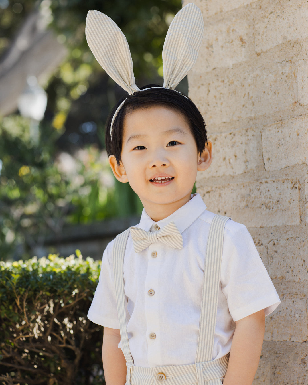 Bow Tie, Sage Stripe