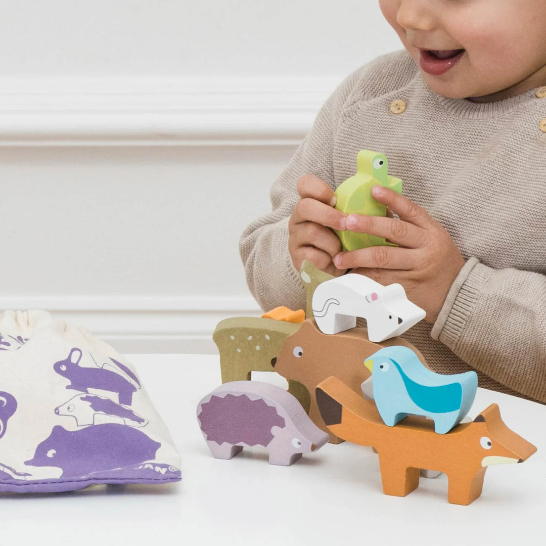 Woodland Stacking, Forest Animals & Bag
