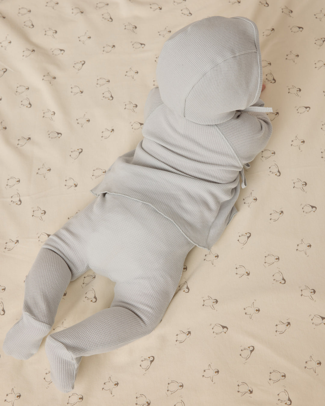 Swaddle, Penguins