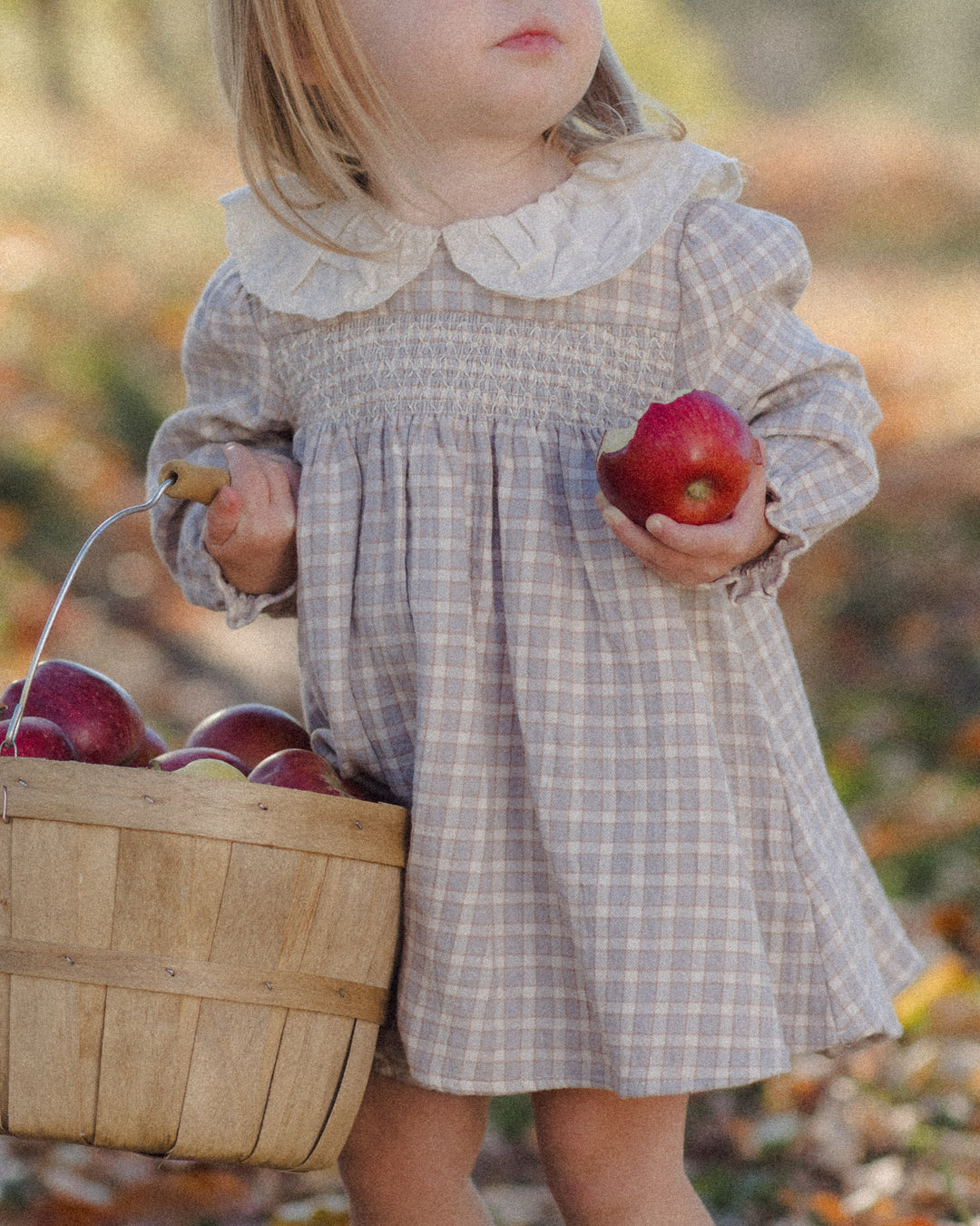 Callie Dress, Blue Gingham