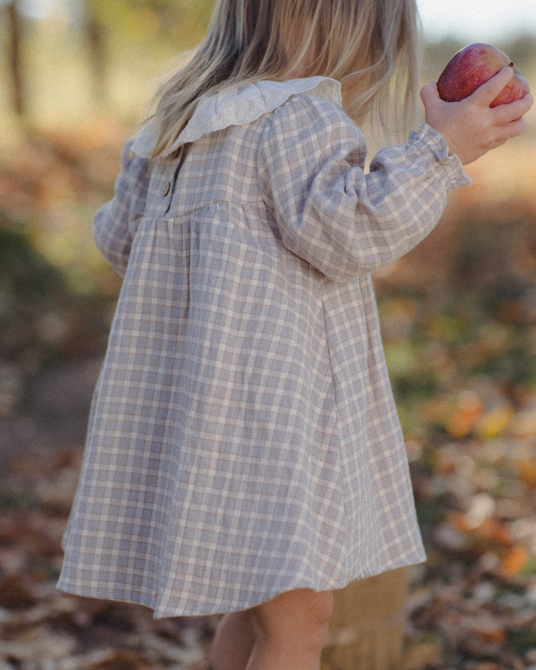 Callie Dress, Blue Gingham