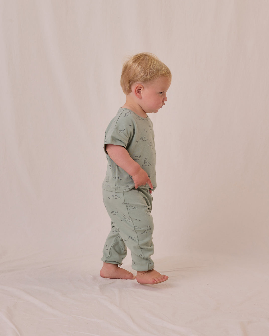 Jersey Tee + Pant Set, Dino