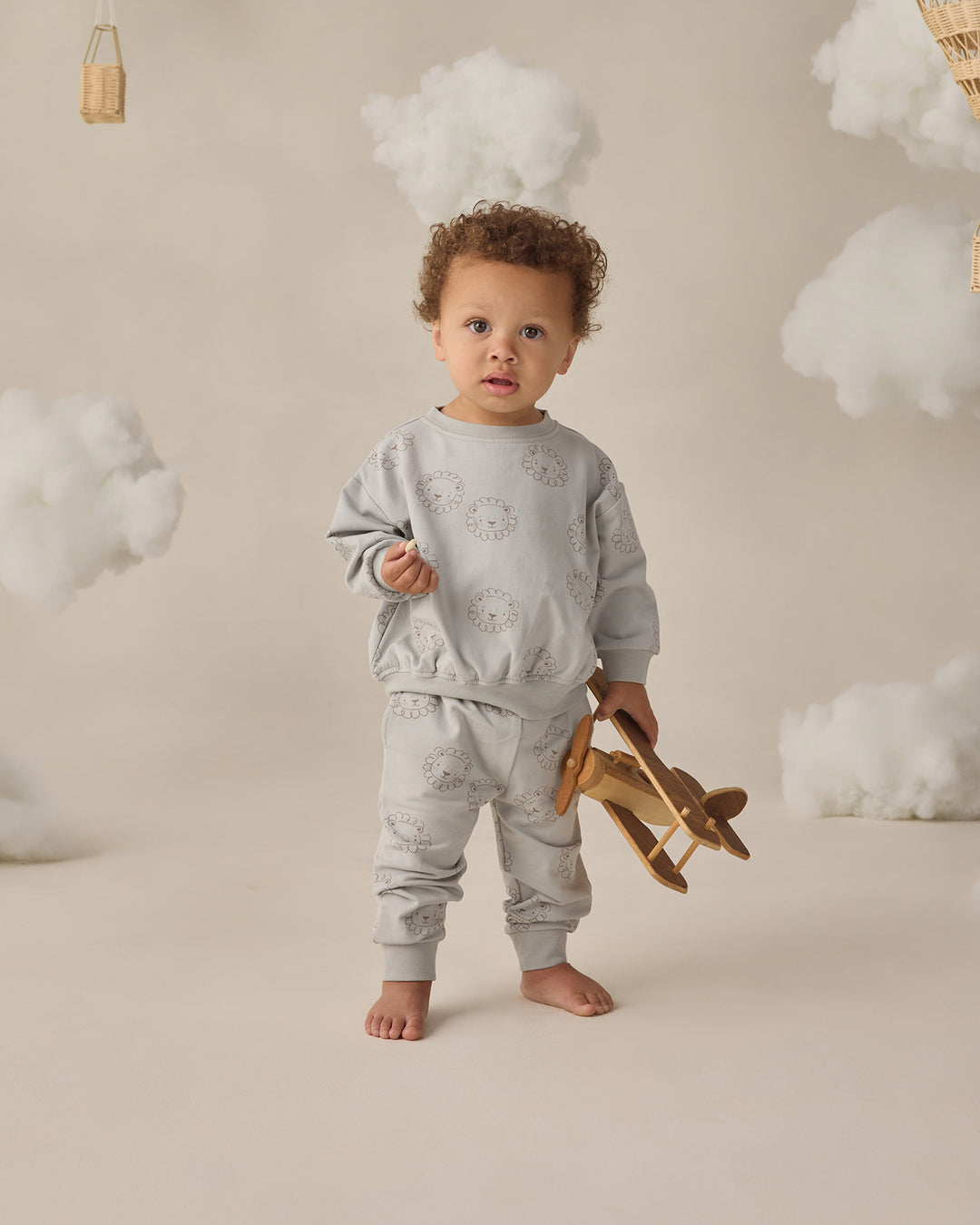 Relaxed Sweatshirt, Lions