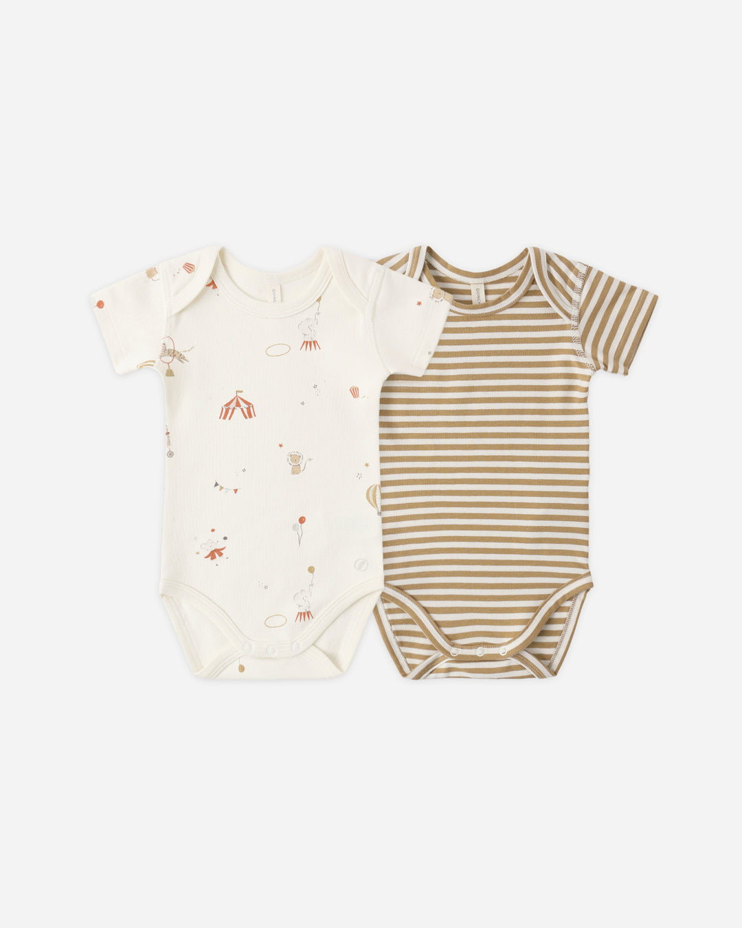 S/S Bodysuit Pack Carnival, Honey Stripe