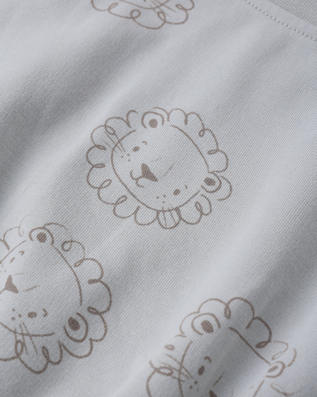 Relaxed Sweatshirt, Lions