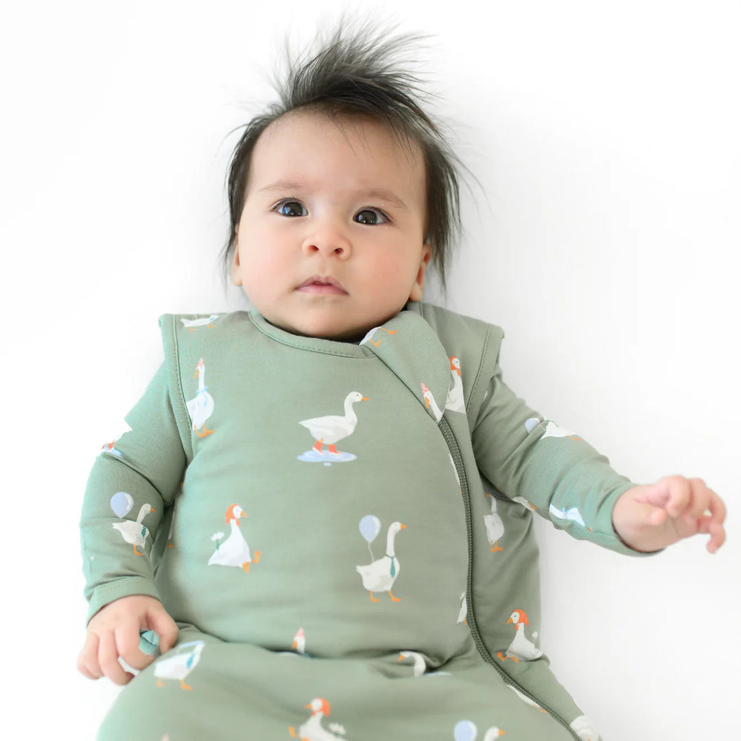 Kyte Sleep Bag 1.0, Silly Goose