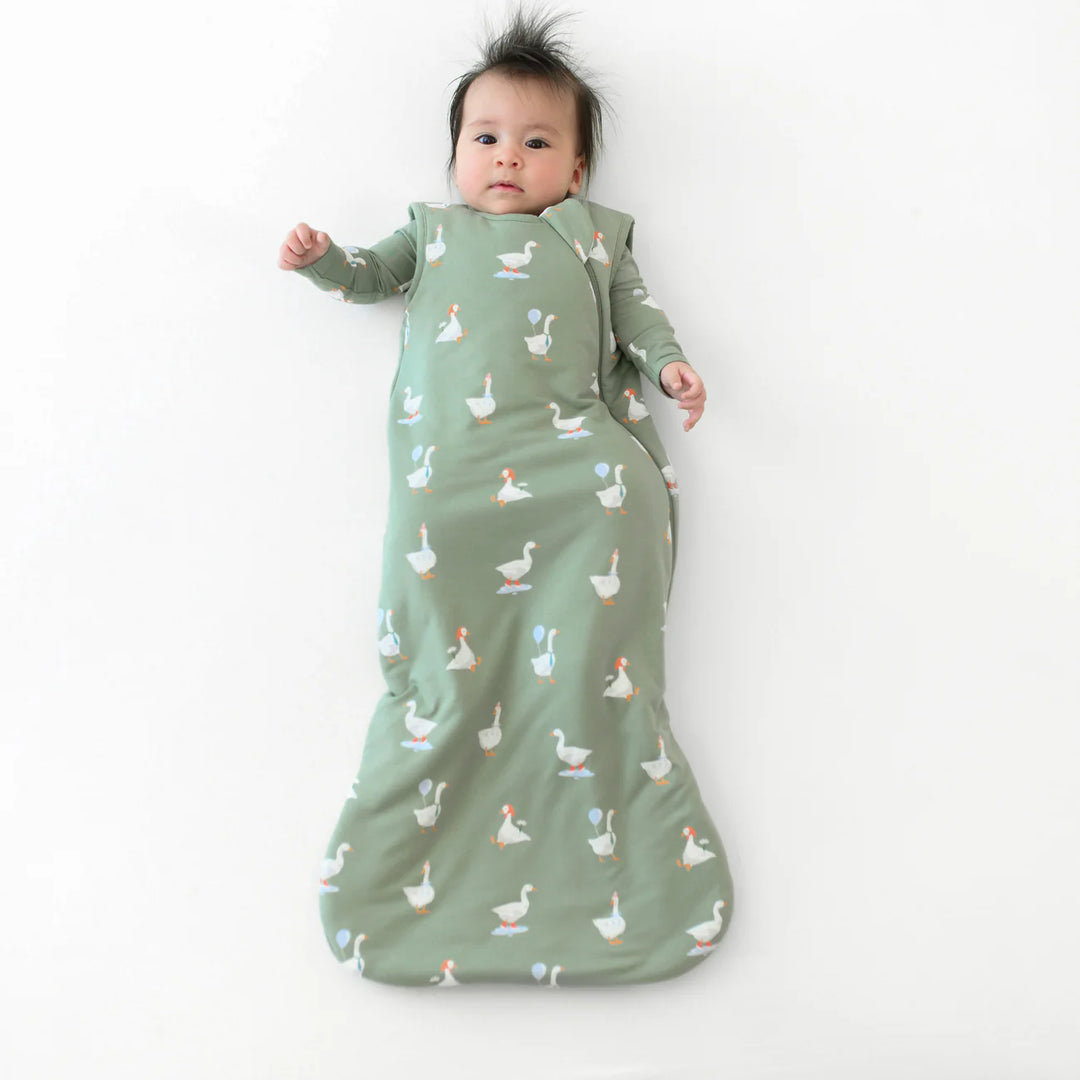 Kyte Sleep Bag 1.0, Silly Goose