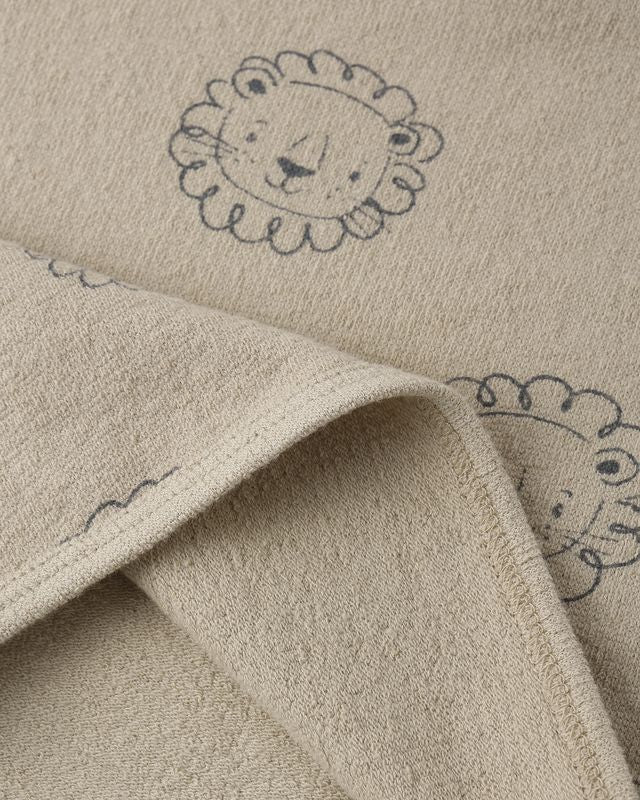 Spongy Play Set, Lion