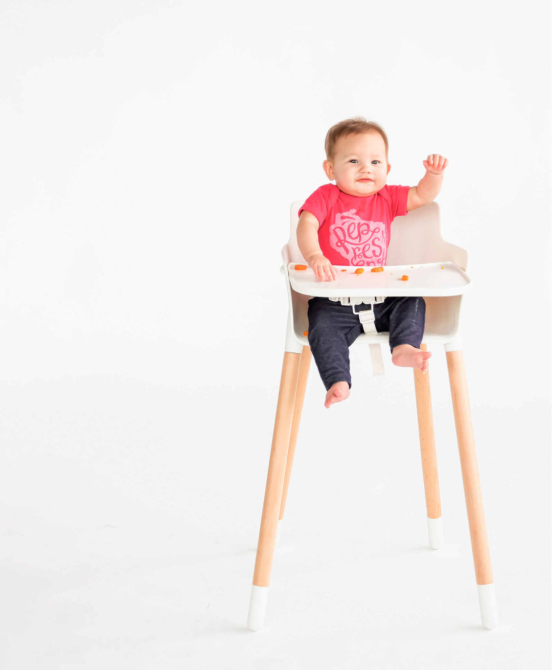 Baby Food Maker Cookbook