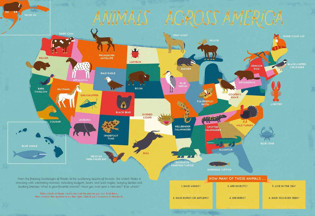 The 50 States: Activity Book: Maps of the 50 States of the USA