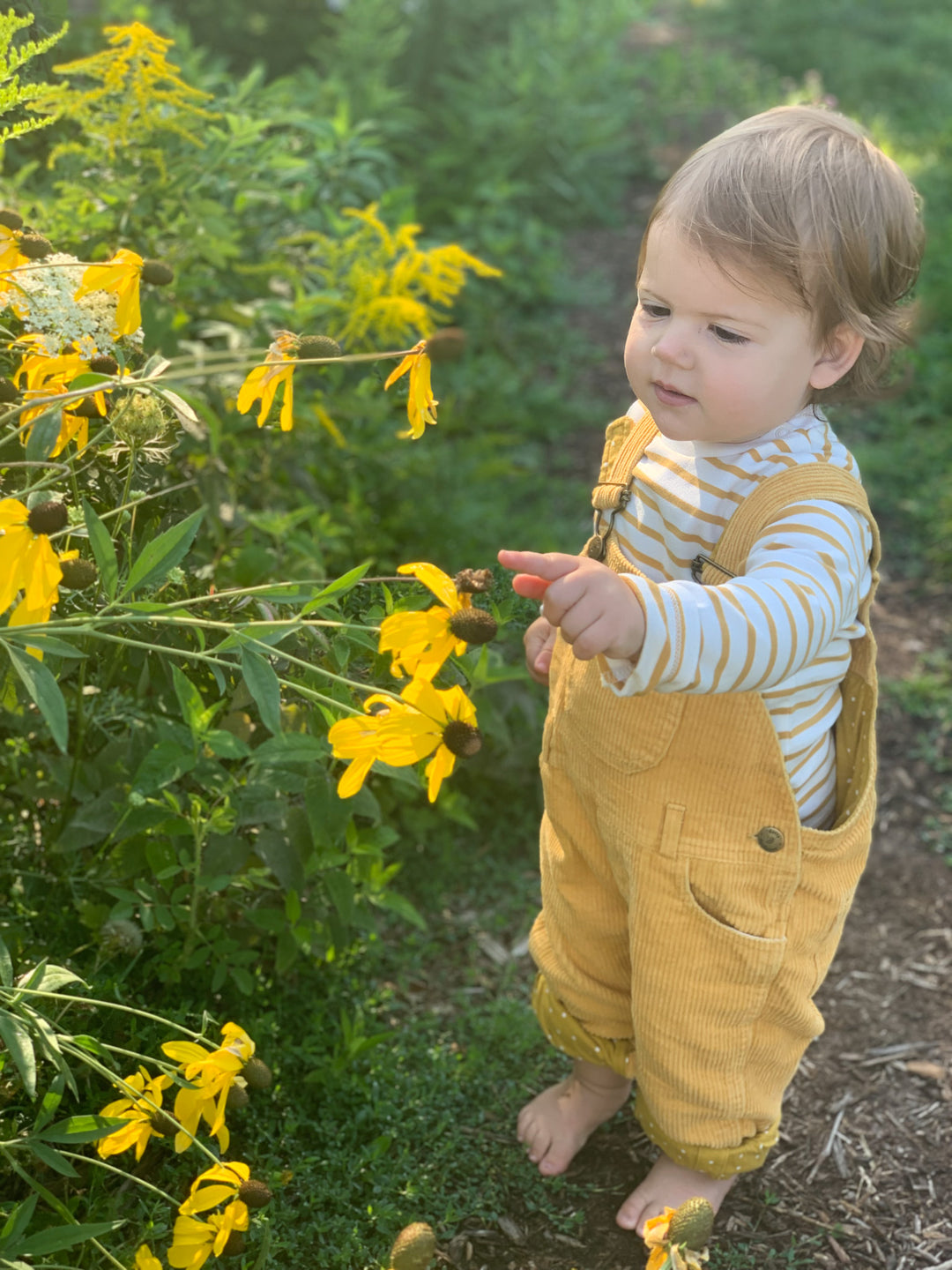 Chunky Cord Dungarees, Ochre