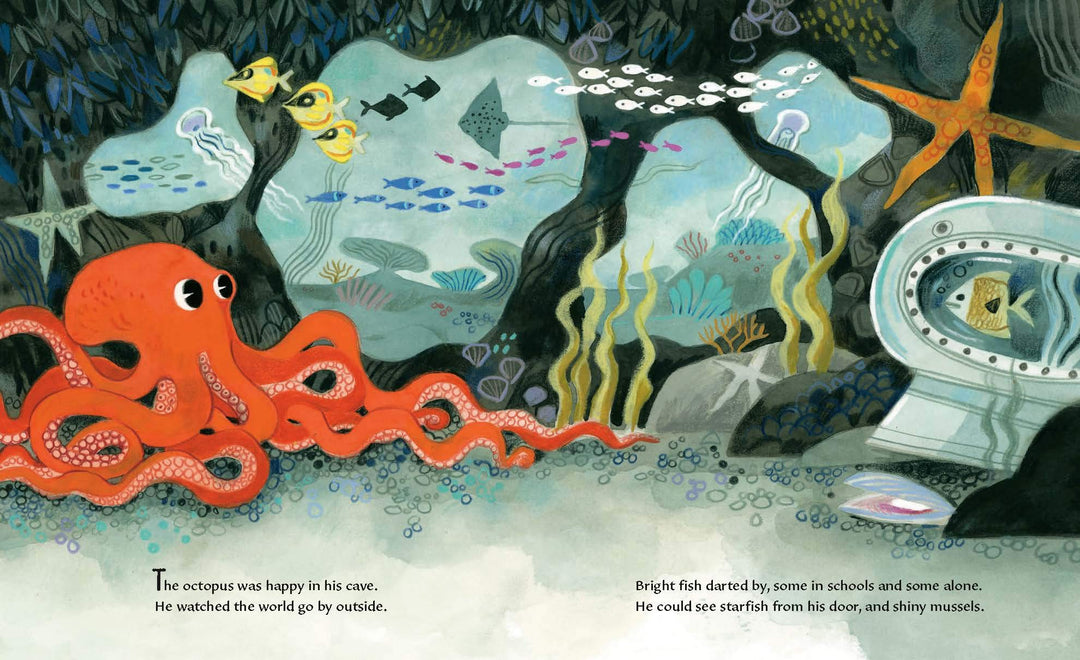 The Octopus Escapes